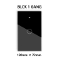 1Gang-Black